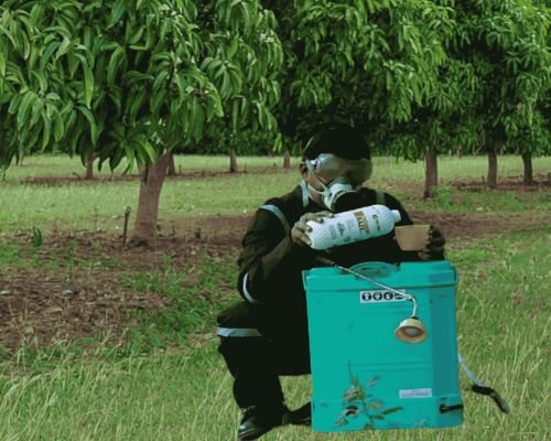 In-House Organic Nourishment